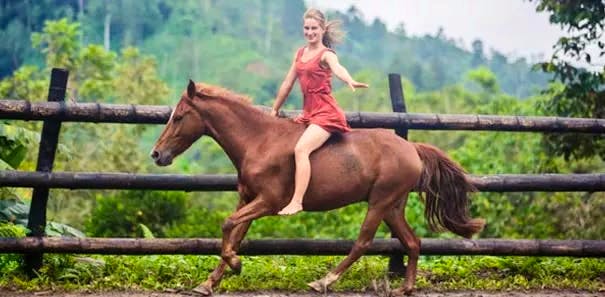 Volunteer with Animals | Programs, Guidance & Reviews