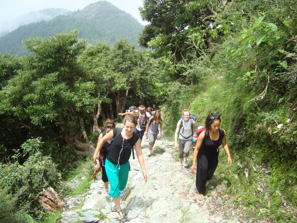 Trekking in Palampur