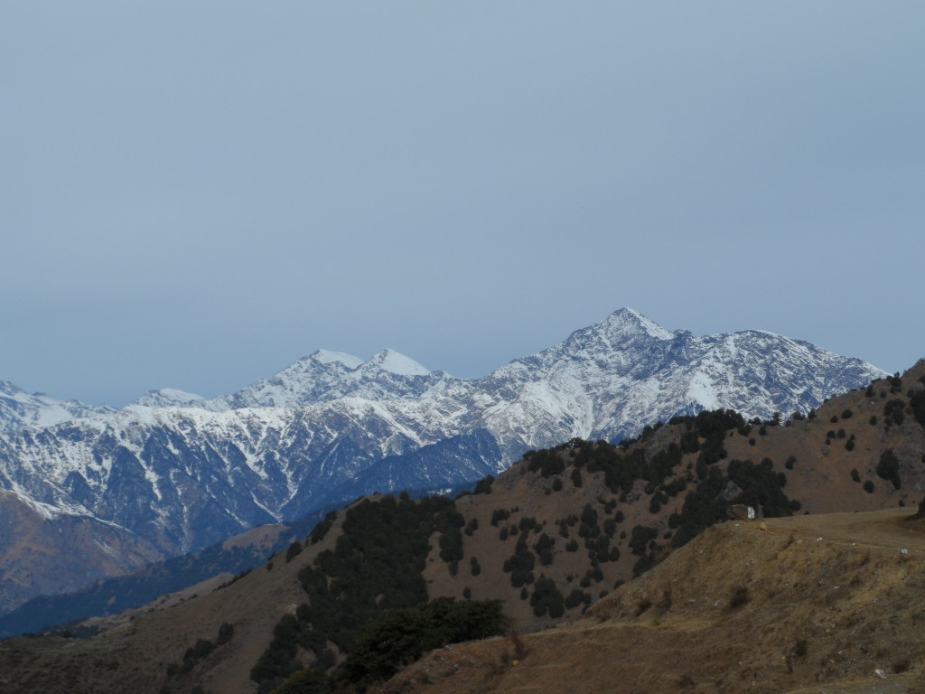 Palampur,Dharamsala