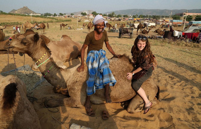 camel fair in pushkar ajmer